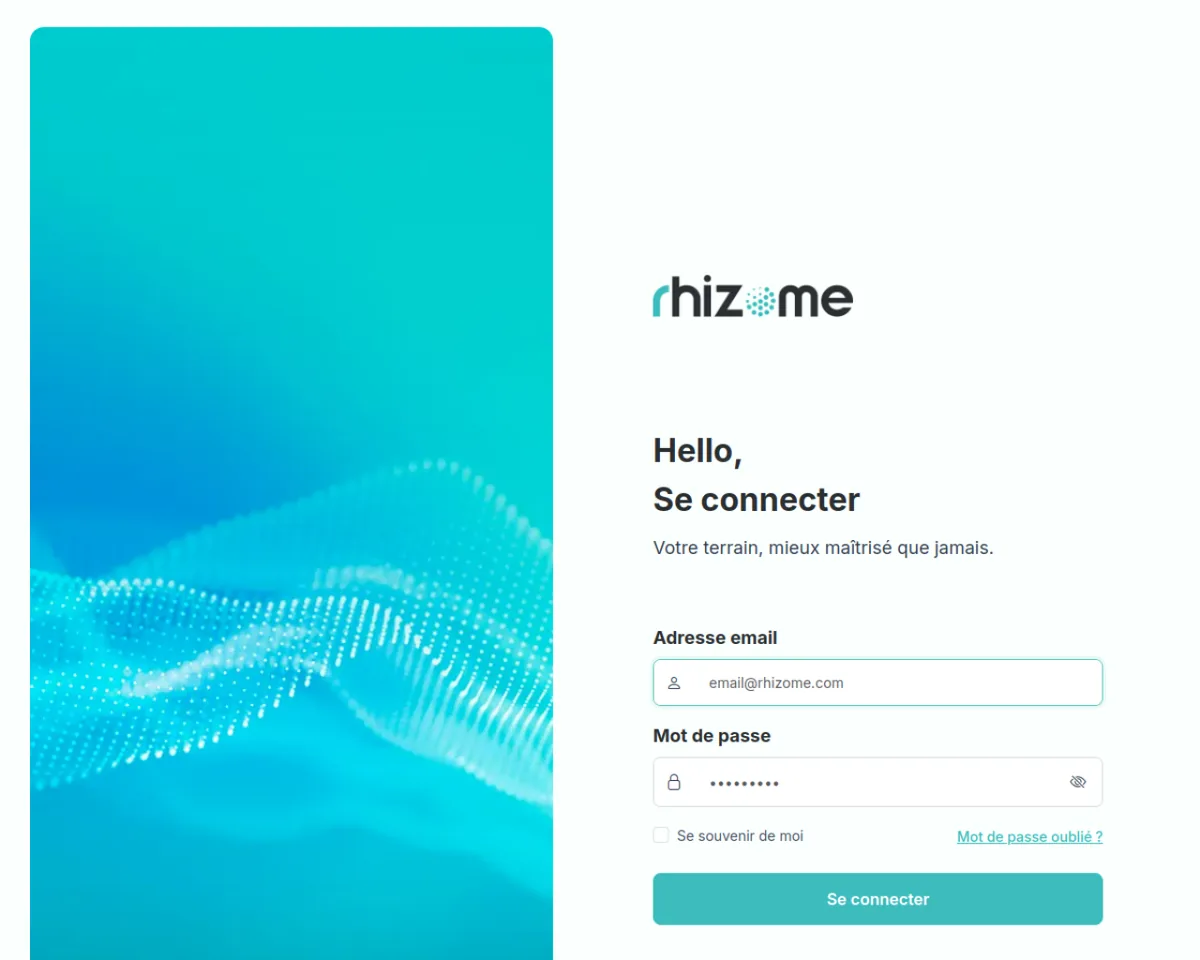 Rhizome